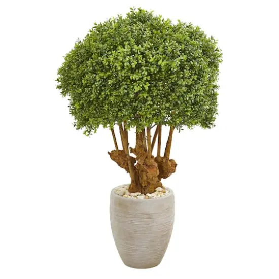 3ft. Boxwood Topiary Tree in Sandstone Planter {1}