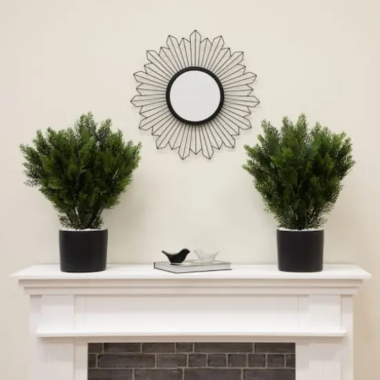 2ft. Potted UV Resistant Cedar Bushes, 2ct. {3}