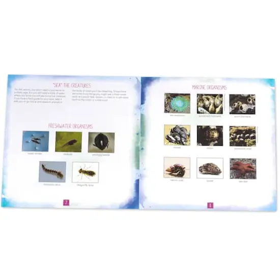 Educational Insights Nancy B's Science Club AquaScope {4}