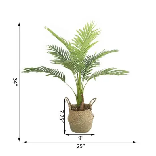 Flora Bunda&reg; 3ft. Big Palm in Basket Planter {3}