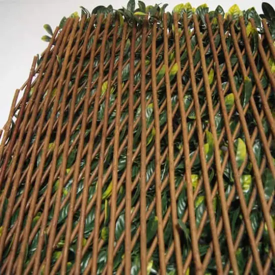 51" Expandable Lemon Leaf Lattice Screen {3}