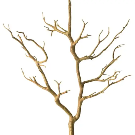 3ft. Bare Birch Branch by Ashland&reg; {1}