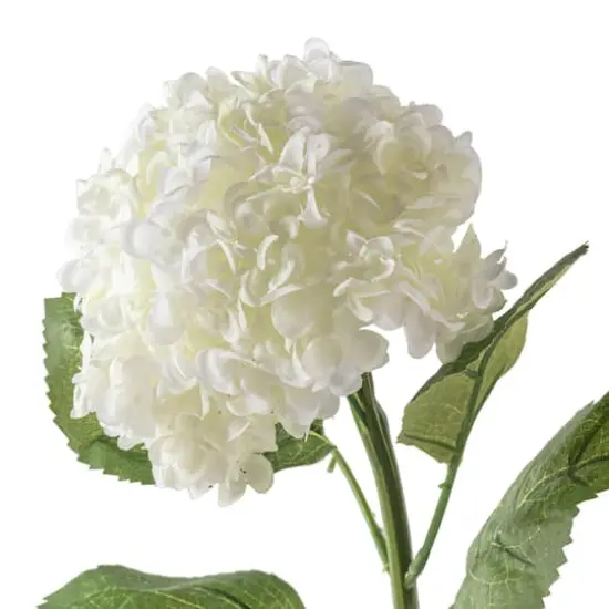 Small Cream Hydrangea Stem by Ashland&reg; {4}