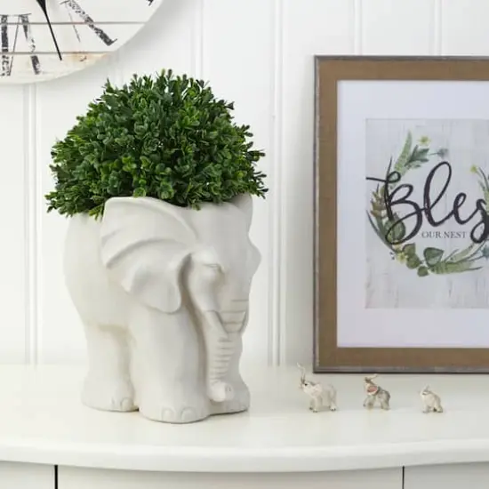 16" Boxwood Topiary Plant in Elephant Shaped Planter {8}