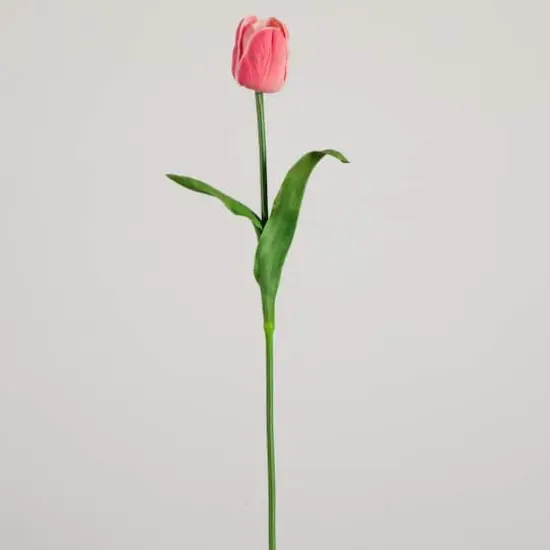 25" Pink Tulip Flower Stems, 3ct. {8}