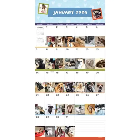 TF Publishing 2024 Dog-A-Day Wall Calendar {4}
