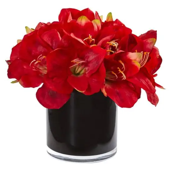 Amaryllis Artificial Arrangement in Glossy Cylinder {1}