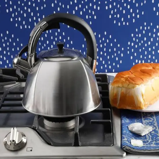 Mr. Coffee Belgrove 2.5qt. Brushed Stainless Steel Whistling Tea Kettle with Nylon Handle {7}