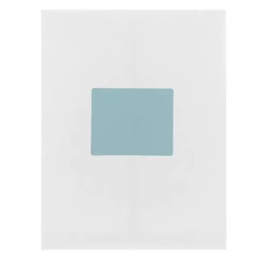 JAM Paper Adhesive Shipping Labels, 3.33" x 4" Baby Blue {7}