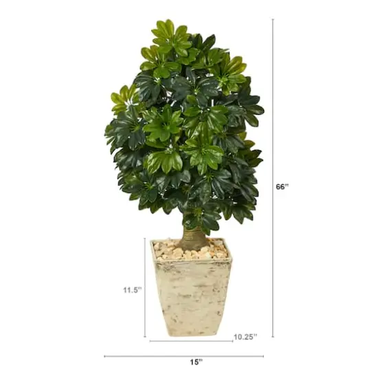 3.5ft. Umbrella Tree in Country White Planter {3}