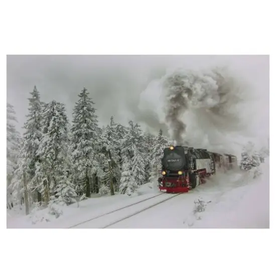 Winter Woods Train Fiber Optic & LED Lighted Canvas Wall Art {1}