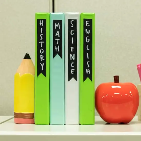 Duck Masking&reg; Brand Masking Tape Black {8}