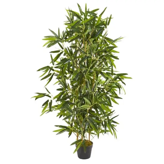 4ft. Potted Bamboo Tree {1}