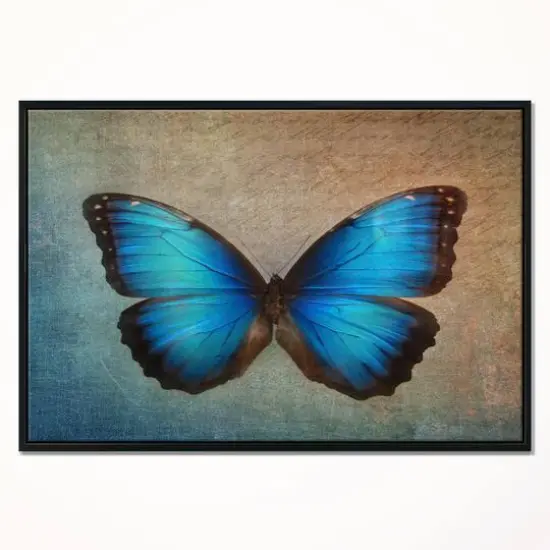 Designart - Blue Vintage Butterfly - Floral Art Framed Canvas Print Black {4}