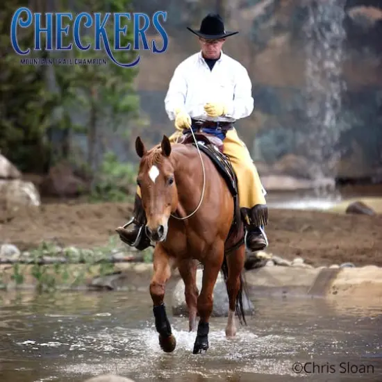 Reeves Breyer Checkers Mountain Trail Champion Horse Toy Model {5}