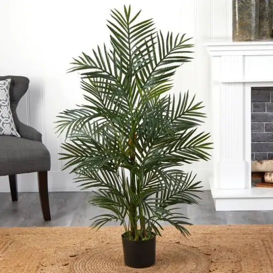 3.5ft. Potted Areca Palm {6}