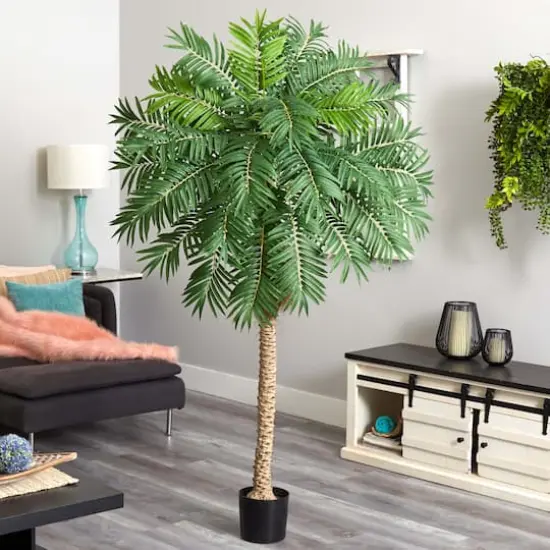 6.6ft. Potted Robellini Palm Tree {3}