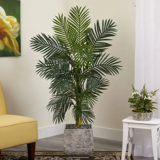 5ft. Golden Cane Palm Tree in White Planter {4}