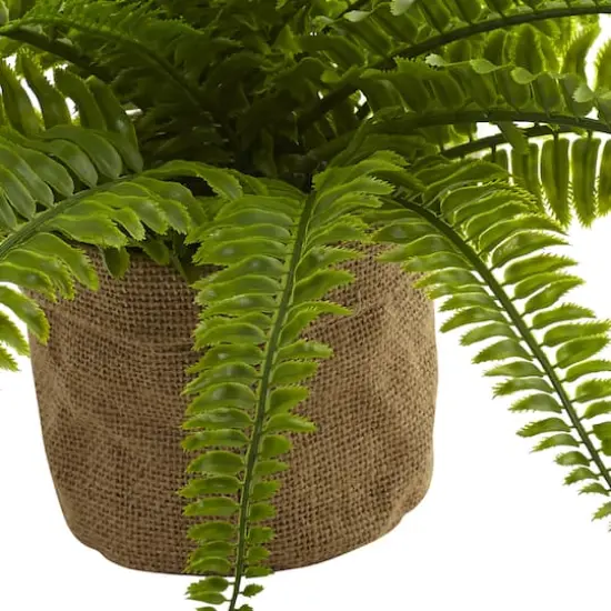 15" Boston Fern with Burlap Planter, 2ct. {4}