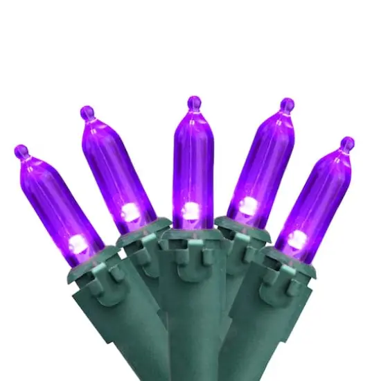 100ct. LED Mini Christmas Lights With Green Wire Purple {1}