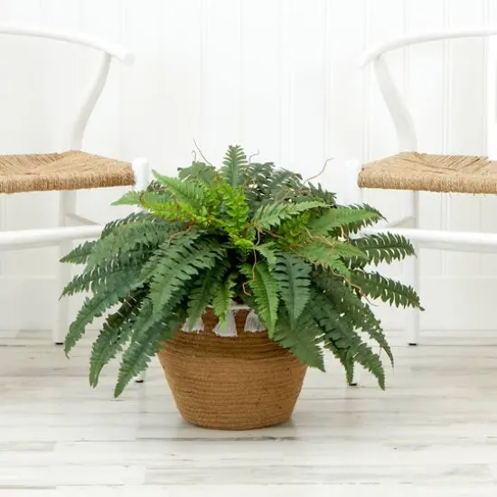 23" Artificial Boston Fern Plant in Handmade Jute & Cotton Basket with Tassels {4}