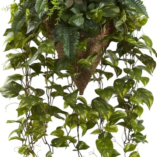 3ft. Mixed Green Vines in Cone Hanging Basket {4}