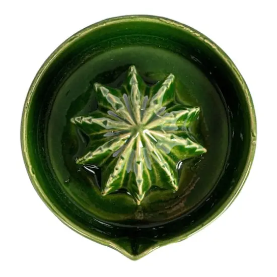 Hello Honey&reg; 4" Green Cactus-Shaped Stoneware Juicer {9}