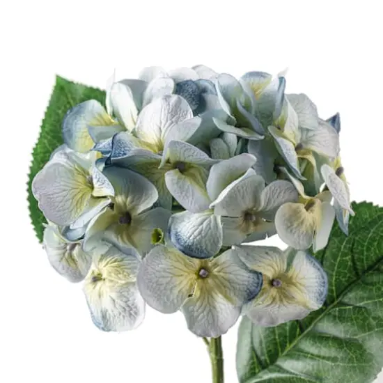 25" Hydrangea Stem by Ashland&reg; Blue and Green {4}