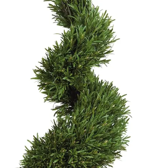 4ft. Potted Rosemary Spiral Tree {3}