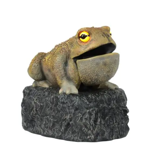 11.25" LED Animated Croaking Toad by Ashland&reg; {1}