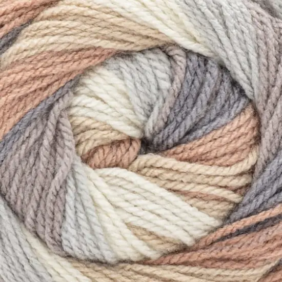 Caron&reg; Cinnamon Swirl Cakes&trade; Yarn Oyster {3}