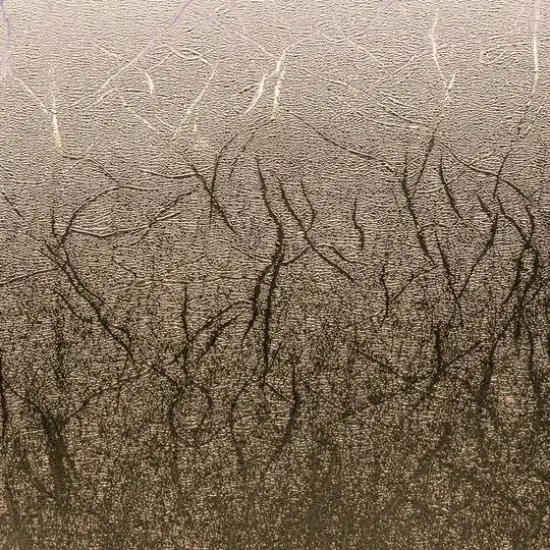 Cricut&reg; Martha Stewart Gilded Black Tie Mixed Materials {5}