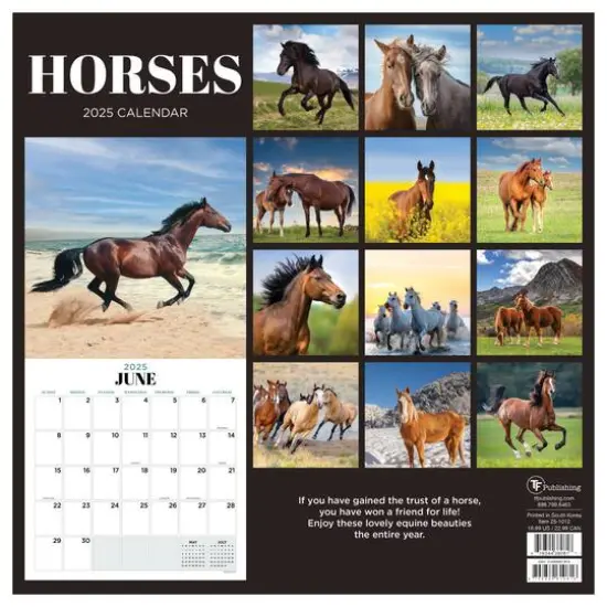 TF Publishing 2025 Horses Wall Calendar {3}