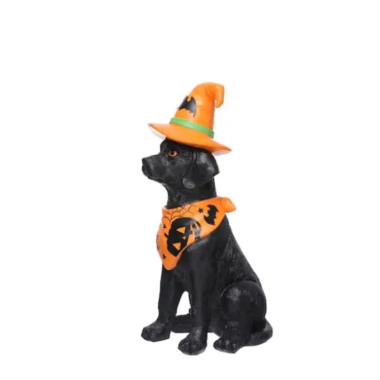 14" Sitting Dog with Witch Hat Tabletop D&eacute;cor by Ashland&reg; {3}