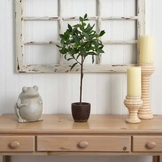 2.5ft. Topiary in Decorative Planter {5}