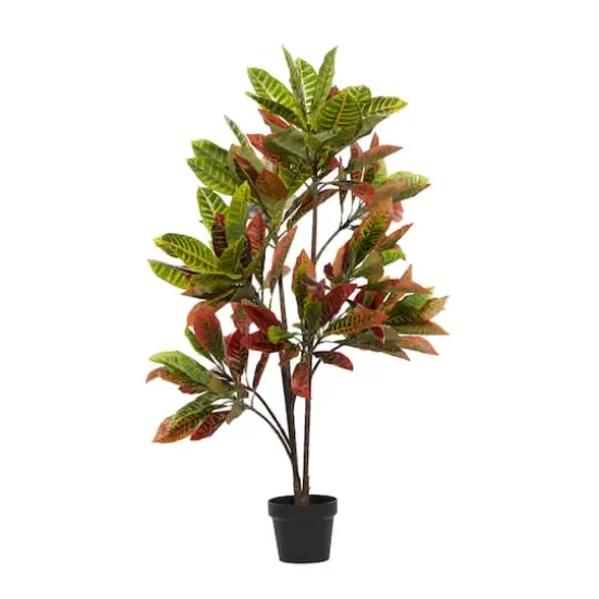46" Potted Croton Shrub Tree {7}