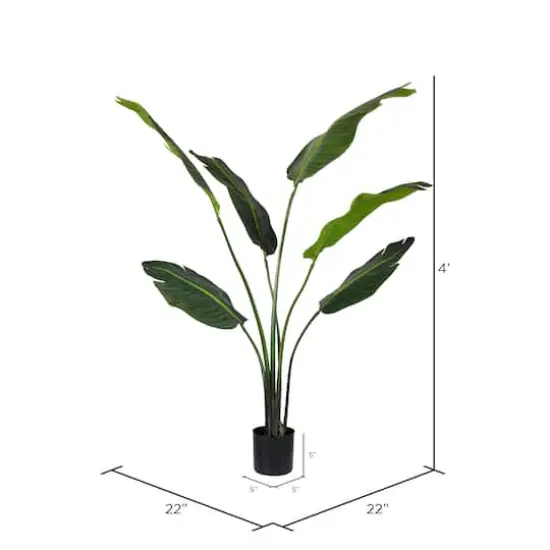 4ft. Potted Travellers Palm Tree {4}