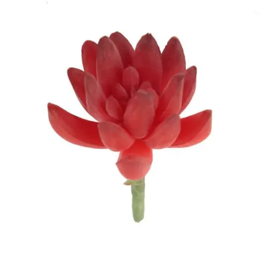 Flora Bunda&reg; Red Small Little Gem Succulent Pick, 12ct. {1}