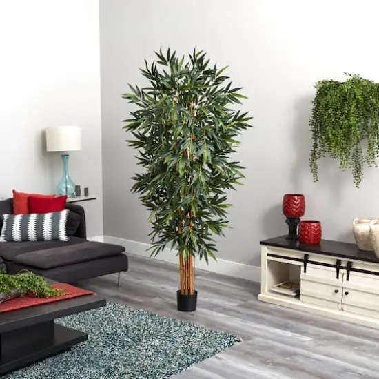 6ft. Potted Big Bamboo Tree  {4}