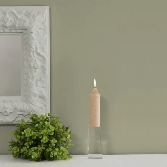 Root Candles 5" Unscented Timberline&trade; Collenette Taper Candles, 8ct. Blossom {4}