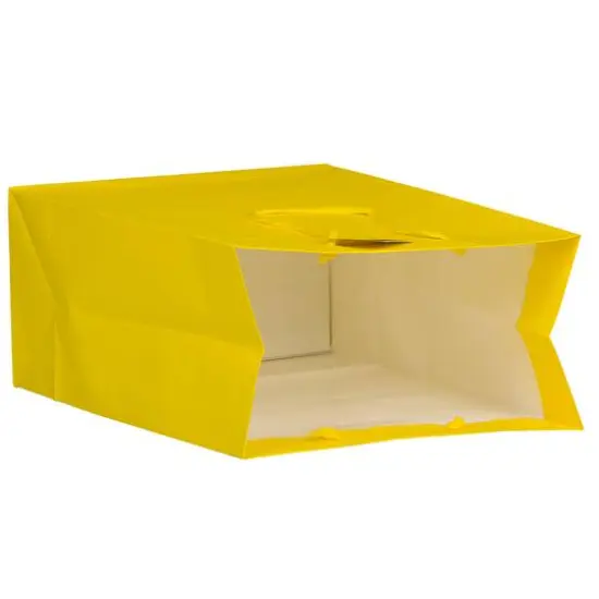 JAM Paper Large Matte Gift Bag, 3ct. Yellow {6}