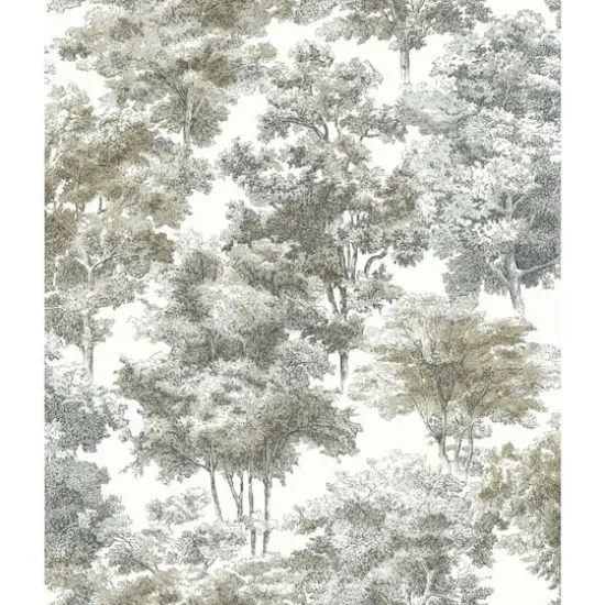 RoomMates Old World Trees Peel & Stick Wallpaper Gray, Beige {1}
