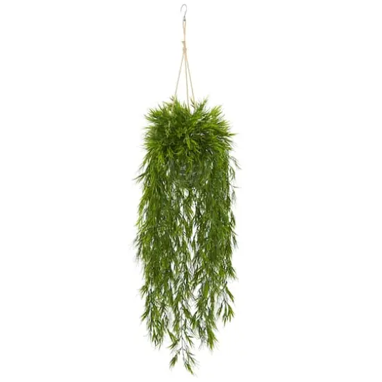 4ft. Mini Bamboo Plant in Metal Hanging Planter {1}