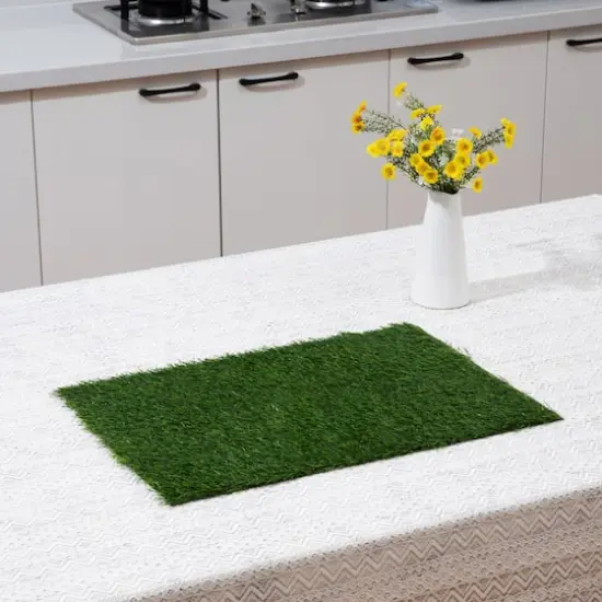 Green Grass Placemat by Celebrate It&trade; {4}