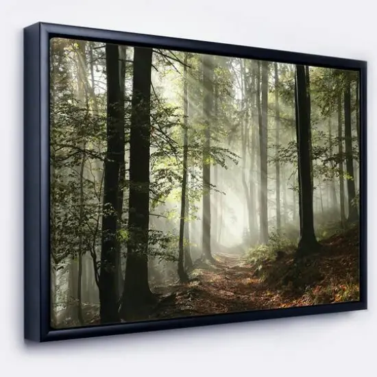 Designart - Light in Dense Fall Forest with Fog - Landscape Art Print Framed Canvas Gold {2}