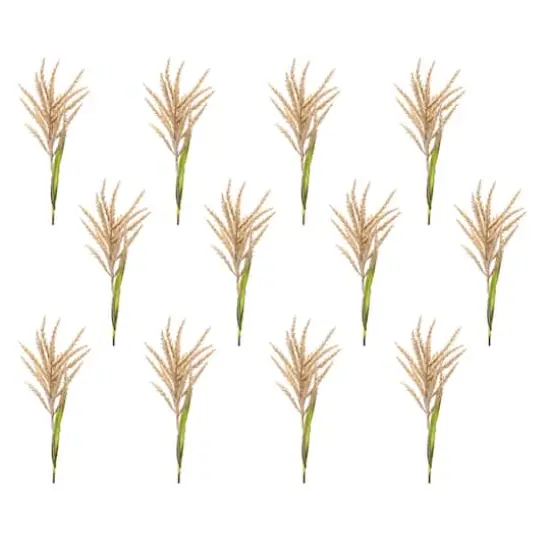 34" Brown Astilbe Stems, 12ct. {1}