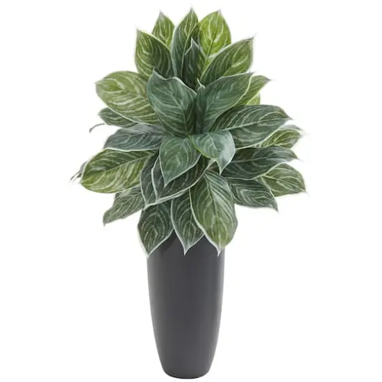 3ft. Real Touch™ Chinese Evergreen Plant in Tall Black Planter {1}