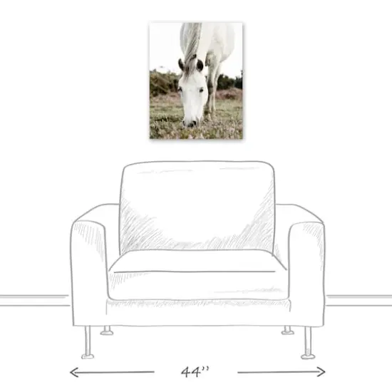 Grazing White Horse 16" x 20" Canvas Wall Art {6}
