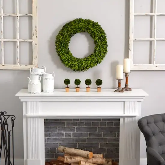 24" Green Preserved Boxwood Wreath {4}
