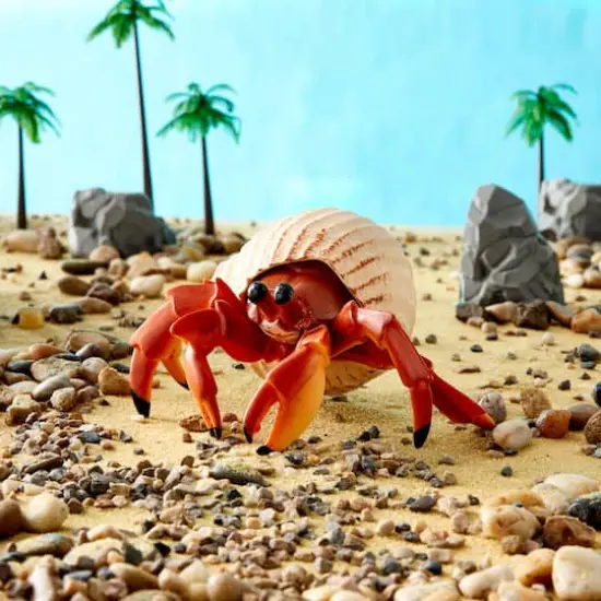 Safari Ltd&reg; Hermit Crab {3}